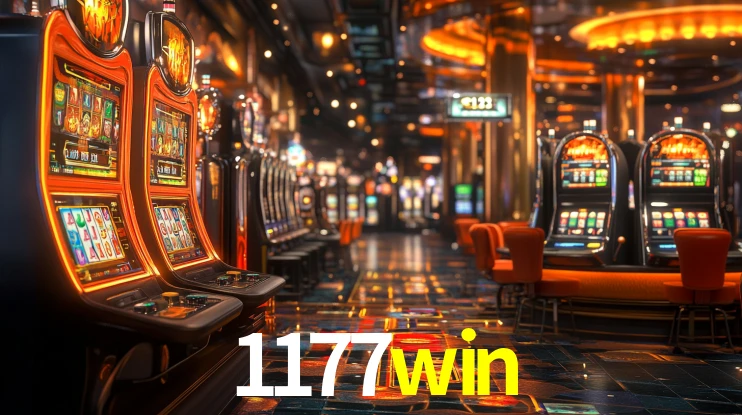 1177win App Interface